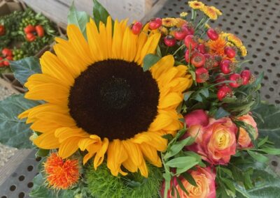 Schnittblume